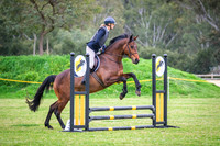 1. WASJA-HORSELAND 60cm Optimum Time