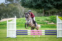 2. WASJA-HORSELAND Open 70cm