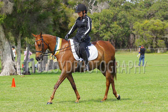 ARCA WH 2014-6626