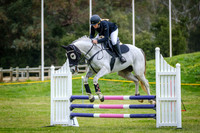 3a. WASJA-HORSELAND Open 80cm