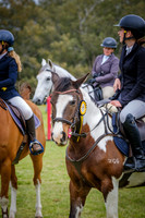 DSCF1736