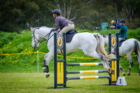 4. WASJA-HORSELAND Open 80 - 90cm
