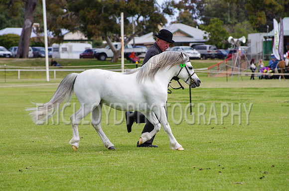 Jess-4478