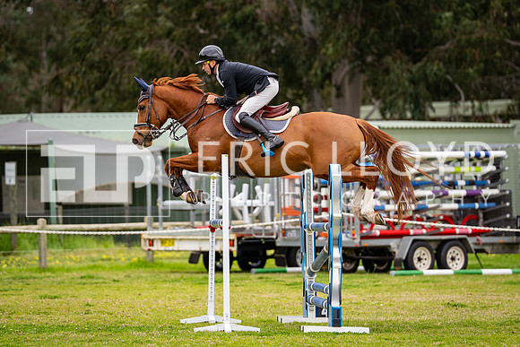 DSC02921