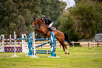 Class 6. WASJA Open 1.35m