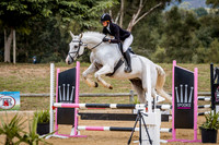 Showjumps 80cm 1.25-2.05pm only