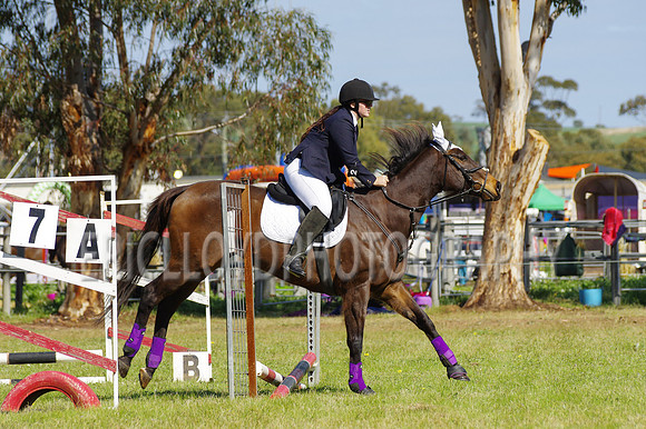 Bev Ag 2014-5152