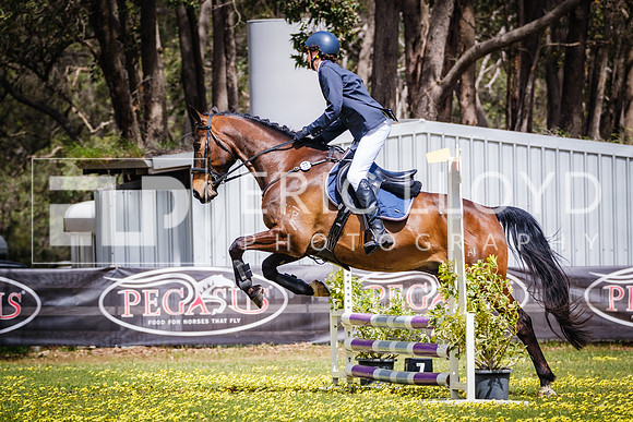 DSCF1843