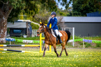 Show Jumping 50cm - Special Two Phase (ALL)
