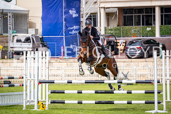 DSCF0316