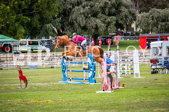 DSCF1773