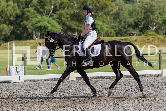 IMGP0249