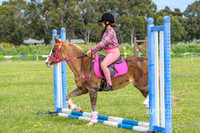 Poles Spec 2 Phase 12yrs & under
