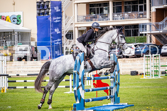 DSCF0527