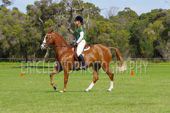 ARCA WH 2014-6543