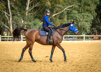 Session 4 - Jumping - 30-50cm - 11-00-11-45