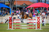 DSCF1279