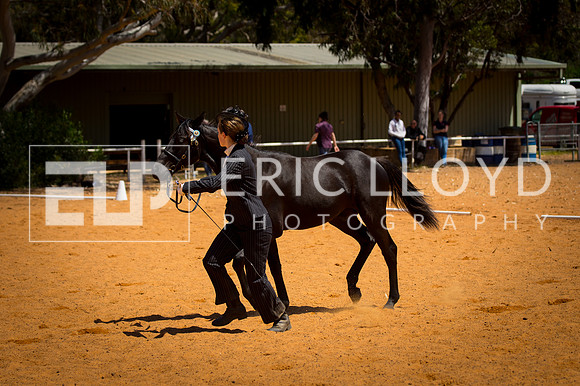 untitled-9580