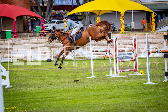 DSCF1972