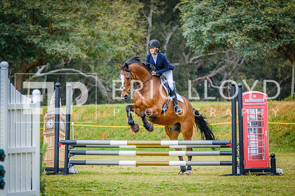 DSCF0312