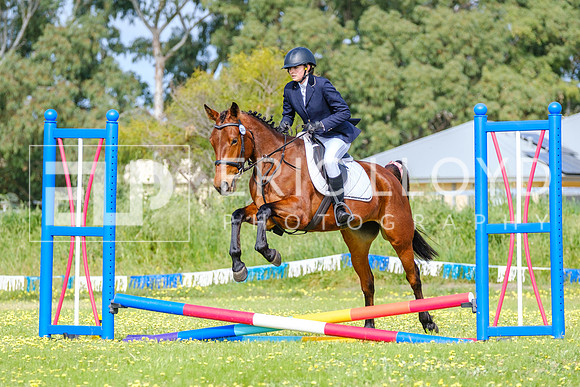 DSCF0410