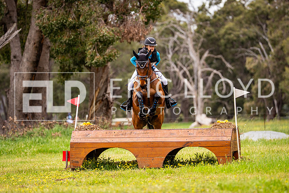 DSC03038