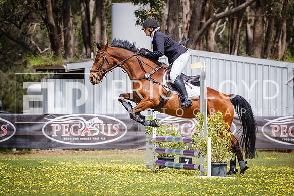 DSCF1683