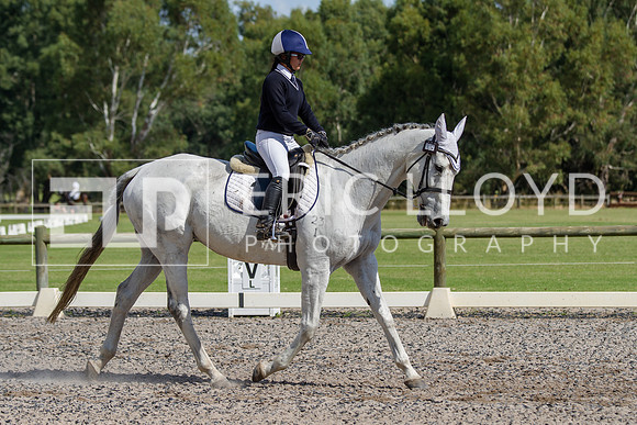 IMGP0358