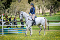 DSCF1146