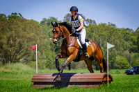 Europa Saddlery EvAJ65
