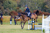 5a. Horseland Midland 75cm AM7