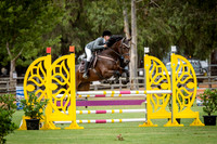 1. Rosily Wines Open 1.00m Special 2 Phase