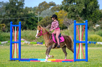 DSCF0208