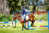 DSCF0543