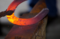 Farriers Clinic