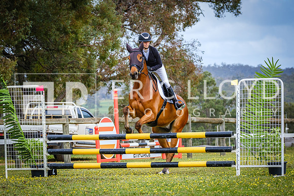 DSCF3732