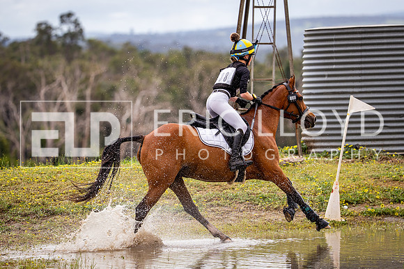 DSC02864