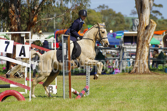 Bev Ag 2014-5158