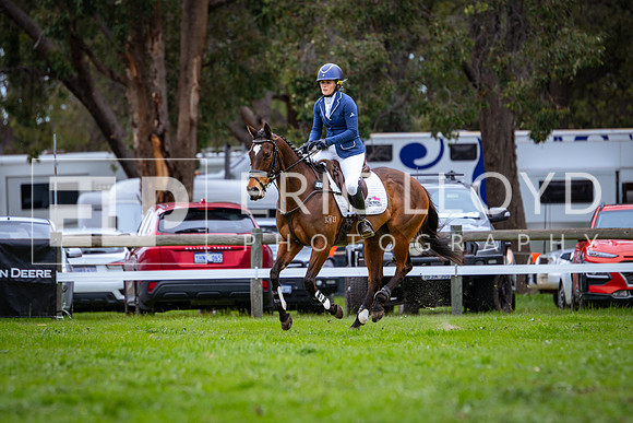 IMGP6206