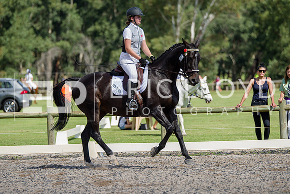 IMGP0244