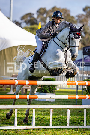 DSC06771