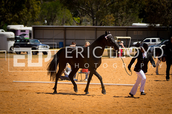 untitled-9502