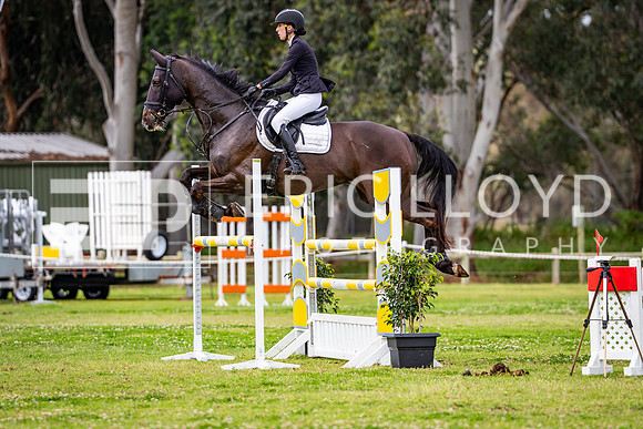 DSC08477