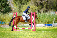 DSCF0548