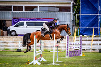 DSCF0786