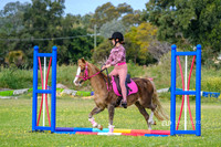 DSCF0209