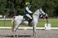 Secondary Senior Novice