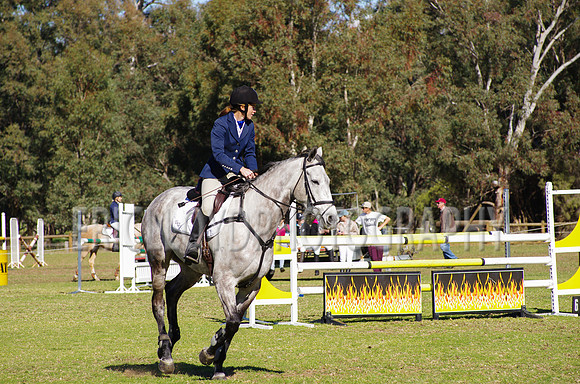 WASJA-9156