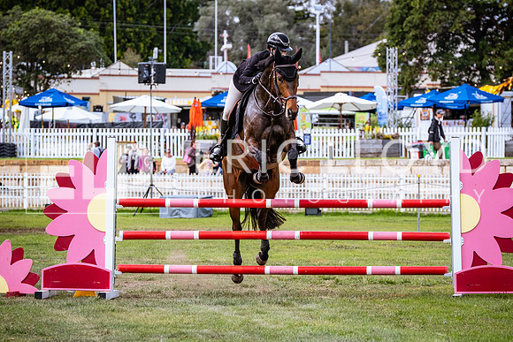 DSCF0251