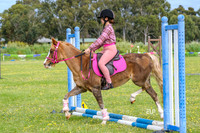 DSCF0184